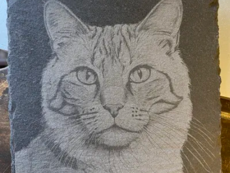 Classic original cat coaster design