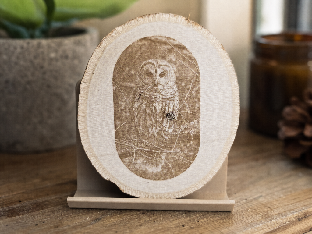 Owl coaster design