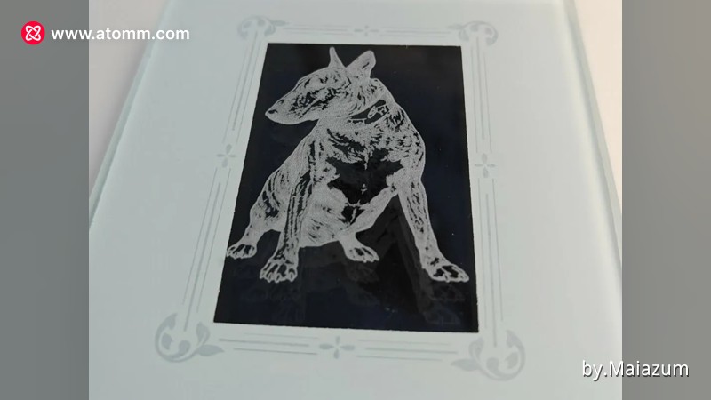 Glass coaster engraved with a Bull Terrier dog portrait