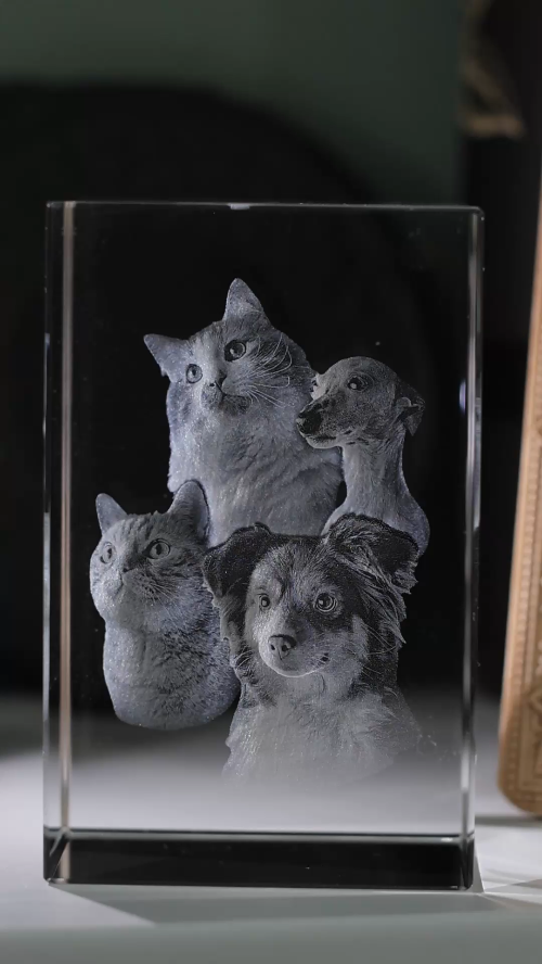 [Laser cut and engrave] Gravure interne photo - Transformer votre petite famille en souvenir unique