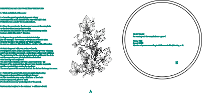 pet contest submission.xcs