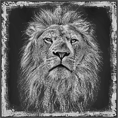 single lion coaster.xs