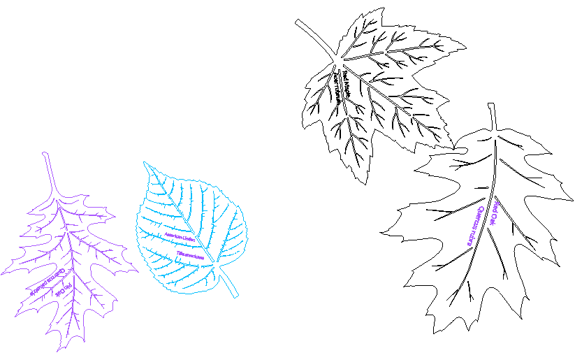 final leaf ornaments.xcs