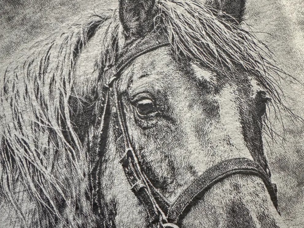 Black coaster engraved with a detailed horse portrait