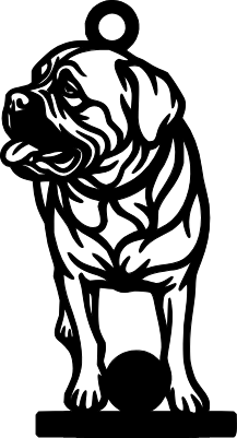 fofo clef.xcs