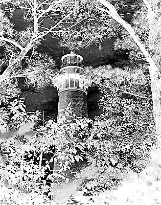 Framed Currituck LH.xcs