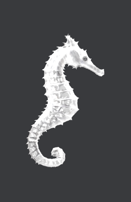SeaHorse.xcs