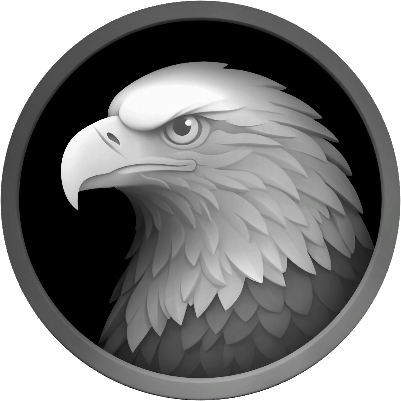 Forged in Light The Bald Eagle Coin by Dan.xcs