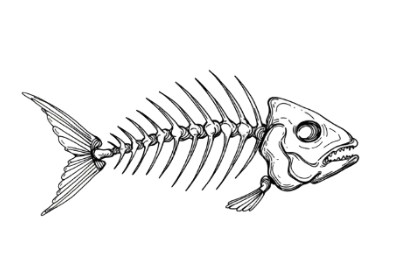 fish skeleton.xcs