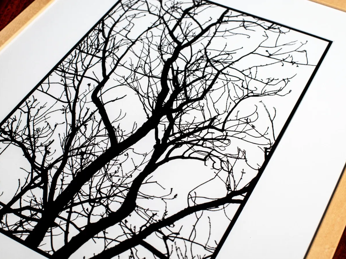 Bare winter tree branches silhouette wall art