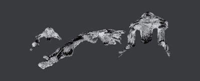 Sprung3d_atomm.xcs