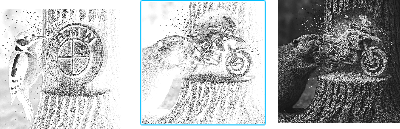 studioBMWGSbiberbaumstamm.xcs