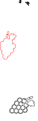 PORTA UVAS DE LA SUERTE.xcs