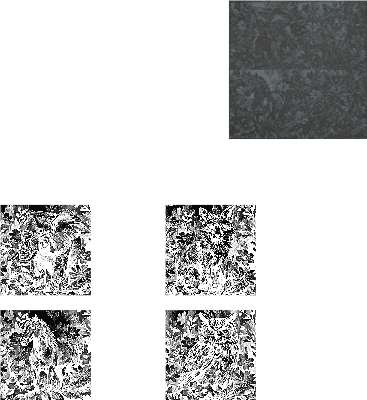 atomm022126.xcs