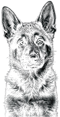 Hund1Karte.xcs