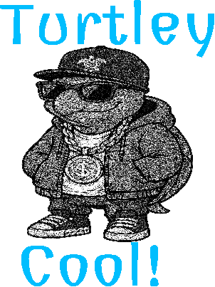 TurtleyCool.xcs