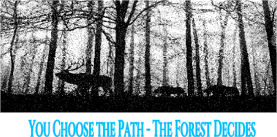 You Choose the Path - The Forest Decides.xcs