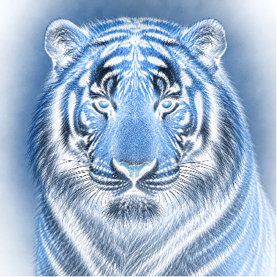Tiger on painted tile.xcs