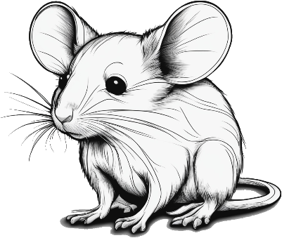 Mouse.xcs