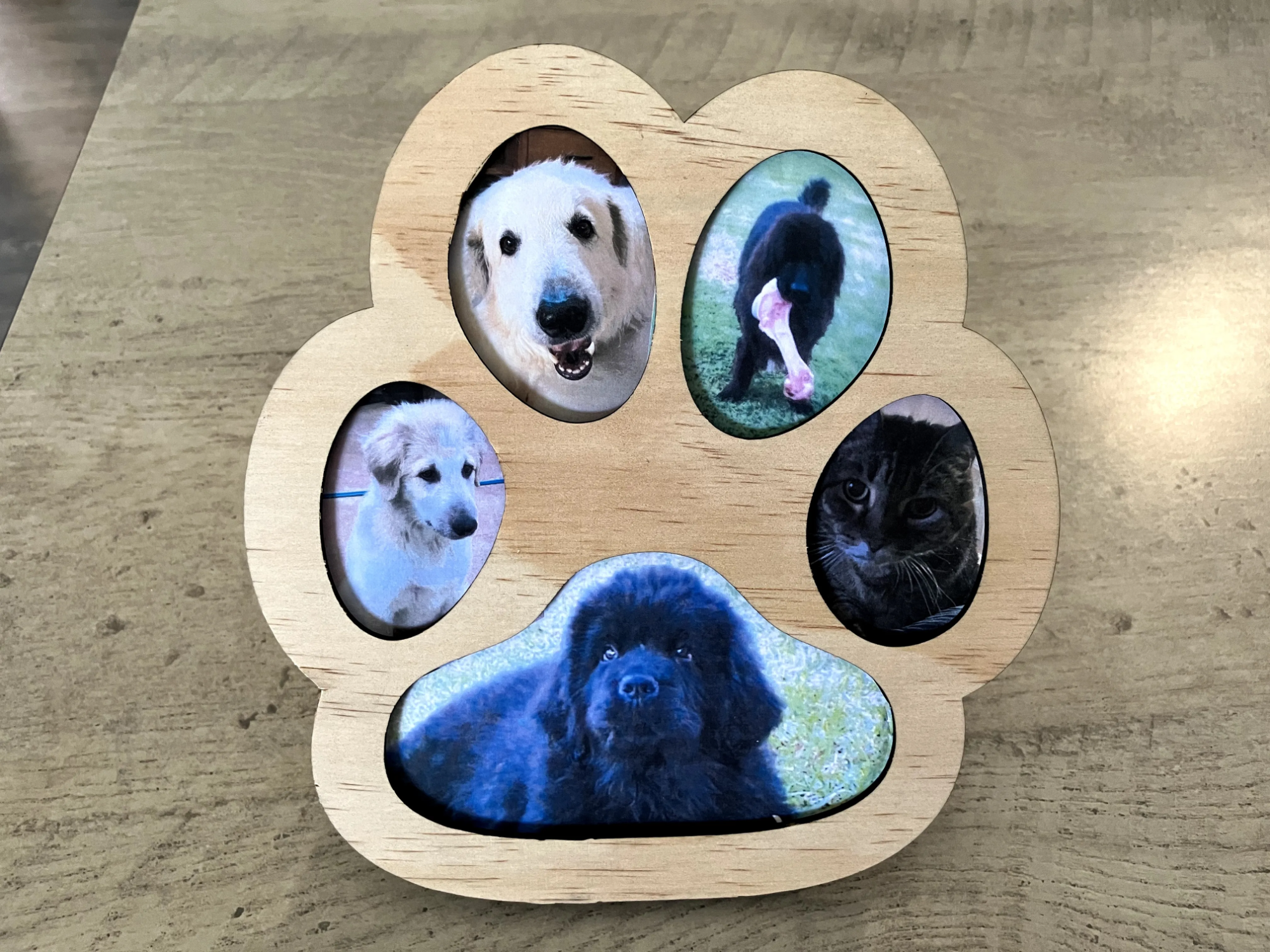 Wooden Paw-Shaped Photo Frame with Pet Photos photo frame design