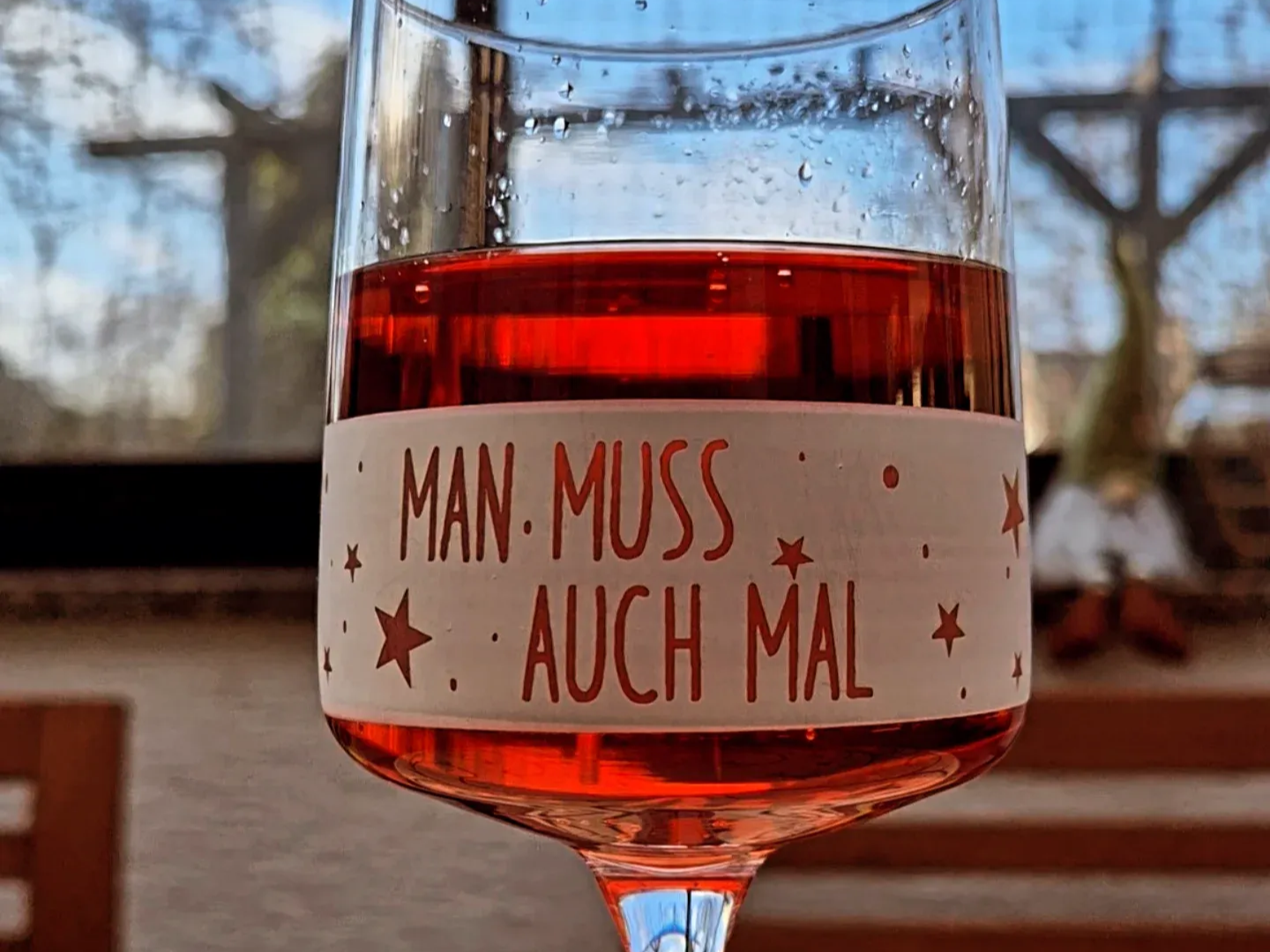 Wine glass with starry decoration text birthday gift for her idea