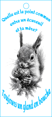 ecureuil devinettes porte clé bois.xcs