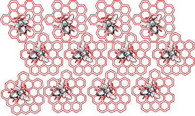 Bee Honeycombe coaster .xs