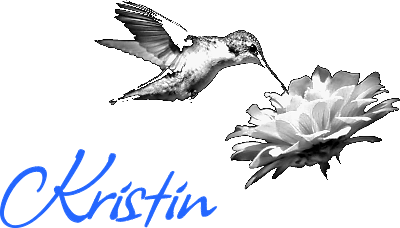 businesshummingbird.xcs