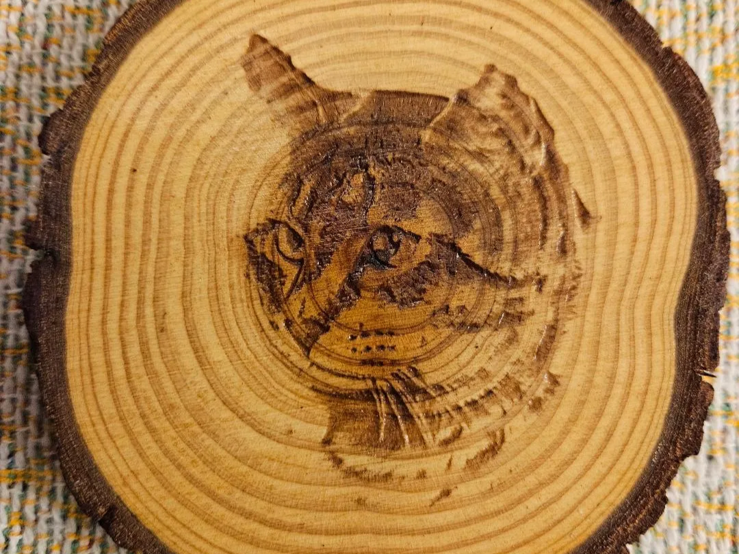 Round wood slice coaster engraved with a cat photo portrait