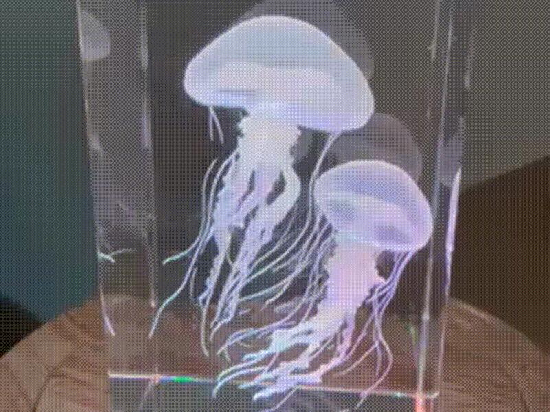 Bloc en verre avec méduse gravée en 3D