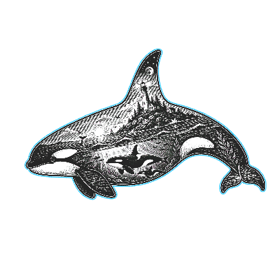 Orca Scenic Cut and Engrave.xcs