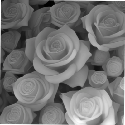 Rose on marble coaster.xcs