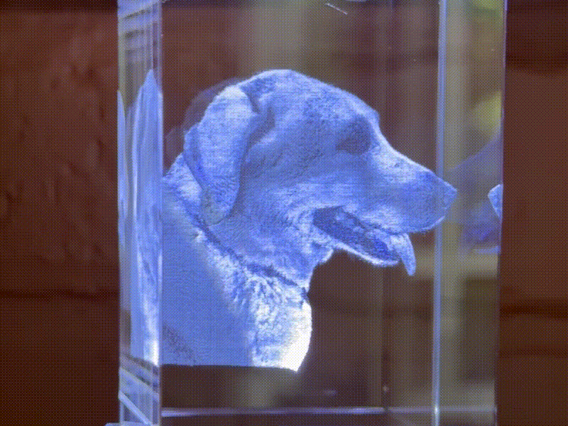 Koda in Crystal