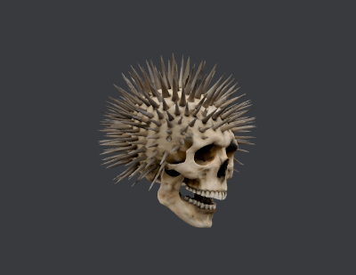 CrânePunk3D.xcs
