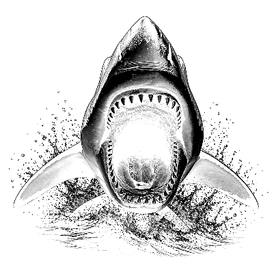atommshark.xcs