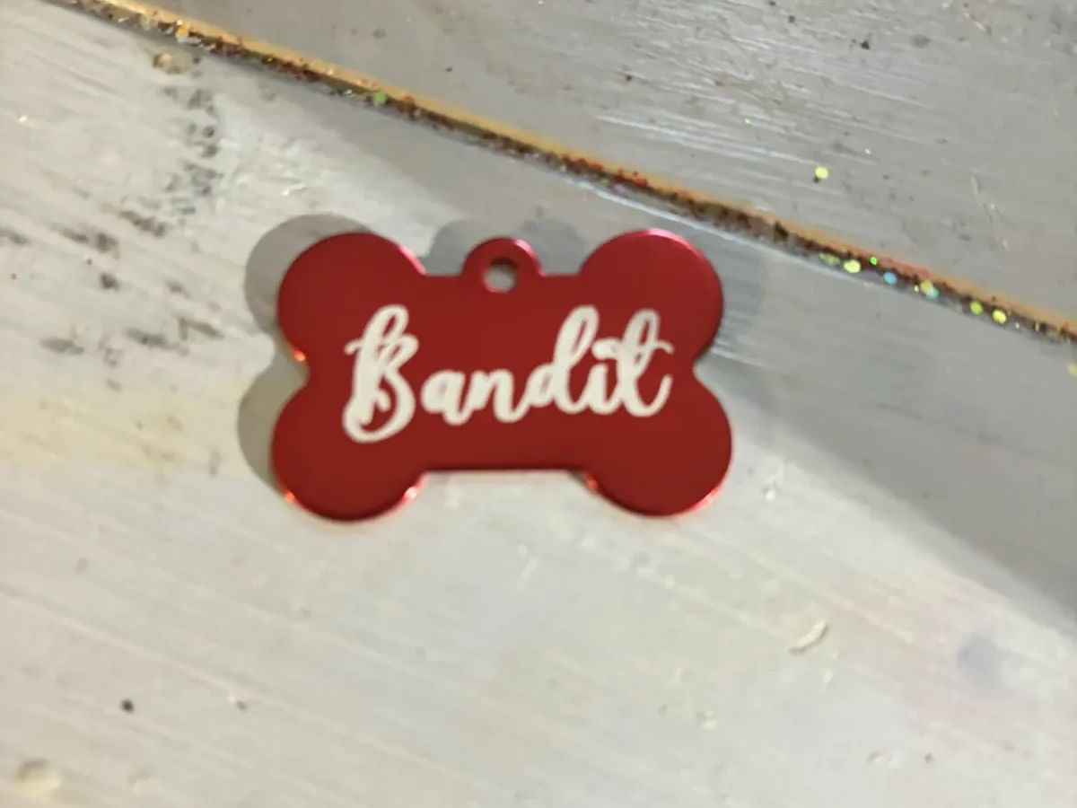 How to Engrave a Simple Dog Tag with S1 pet id tag design