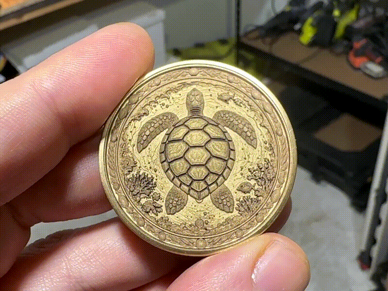 turtle challenge/commemorative coin