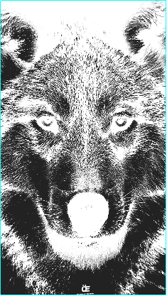 RENKLIMETALCAKMAK.xcs