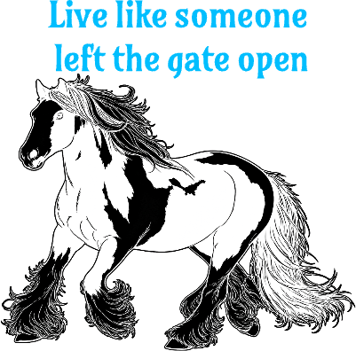 GateOpen.xcs