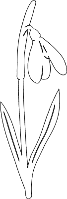 SG4.xcs