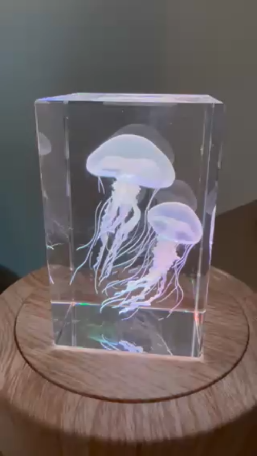 [Laser cut and engrave] Bloc en verre avec méduse gravée en 3D