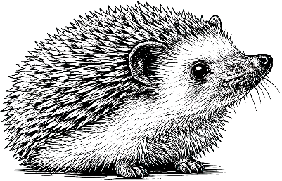 Igel Baum.xcs
