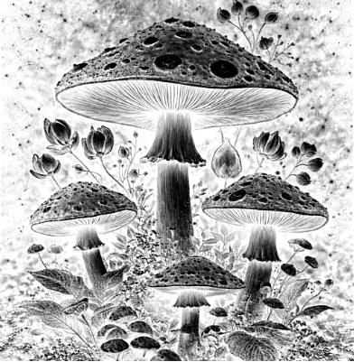 Untitled_recovered.xcs