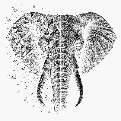 elephant portrait.xcs