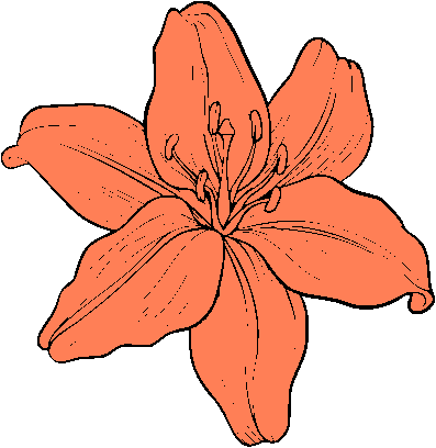 TutorialHologram.xcs