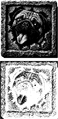 Pug 3D illusion.xcs