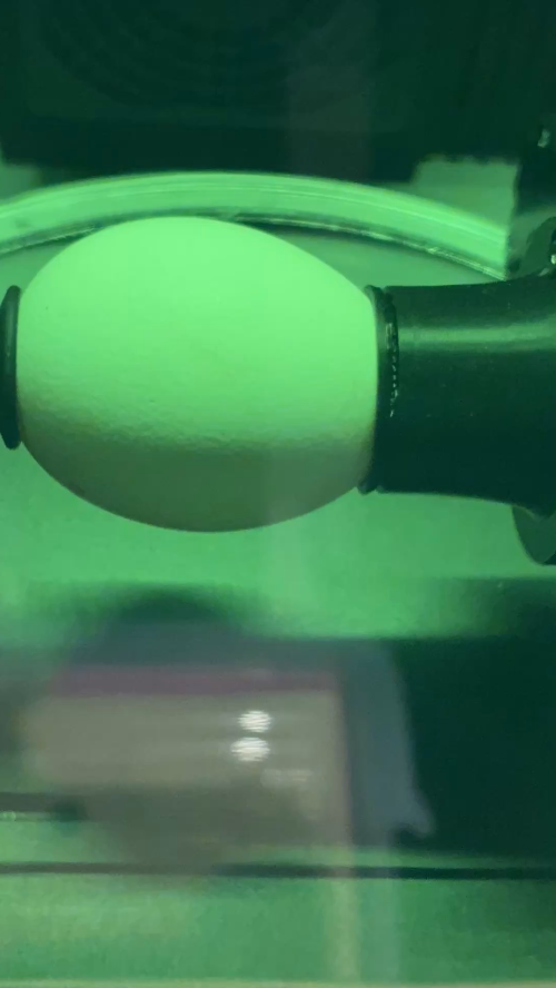 [Laser cut and engrave] Happy Easter egg decoration with engraved text