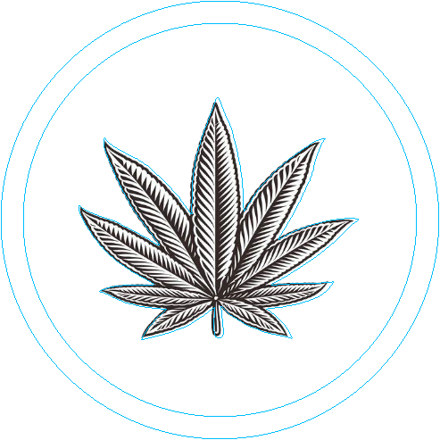 cannabisleafcoaster.xcs