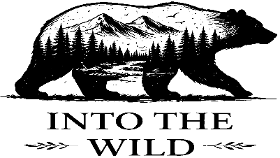 Bear into the Wild Mountains.xcs