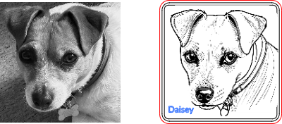 Daisy.xcs